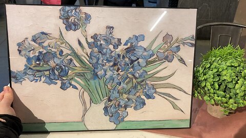 Van Gogh’s Irises (Manhattan)