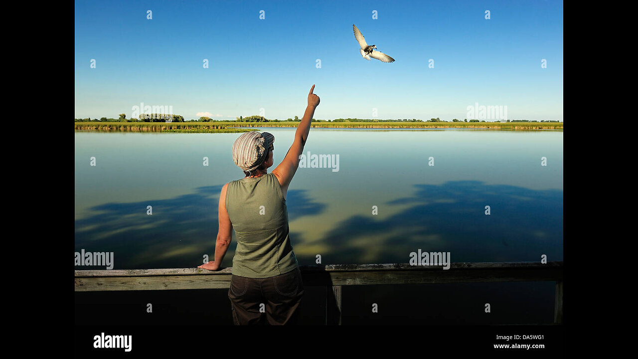 Bank of Utah Airplane invasion slideshow data - no audio - October 1st 2025 -