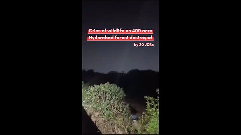 400 acres of forest was deforested by stupid decesion of telegana government, birds & animals crying