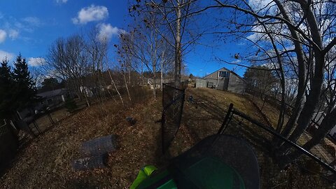 Solo Poplar over the fence and well