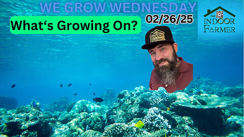 We Grow Wednesday 2/26/25, Is Dairy Ok? Would You Try Tallow Fries? Let's Grow