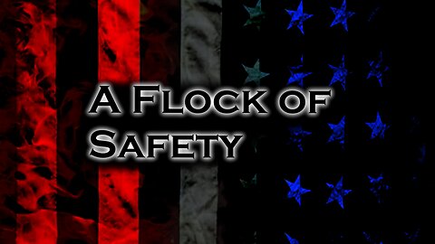 162 A Flock of Safety
