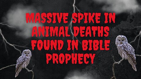 Prophetic Mass Animal Deaths & Dreams People Have Before They Die | Throwback Thursday