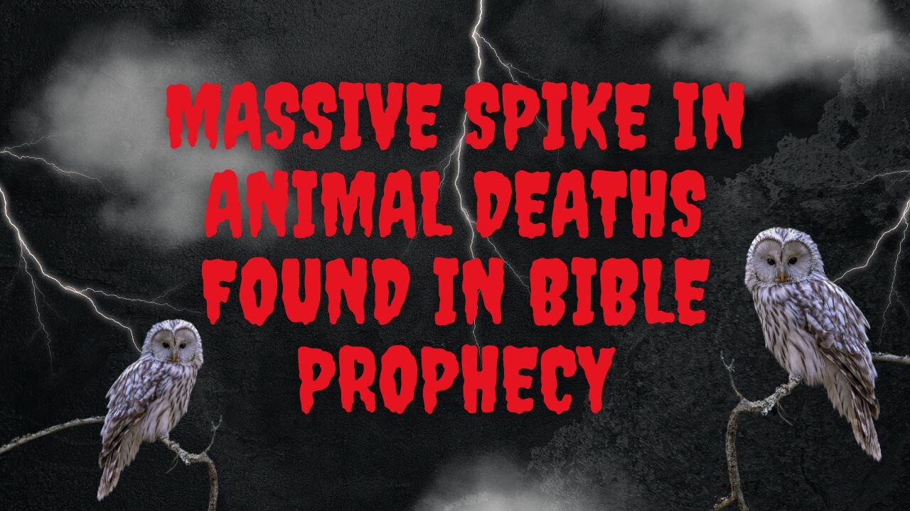 Prophetic Mass Animal Deaths & Dreams People Have Before They Die | Throwback Thursday