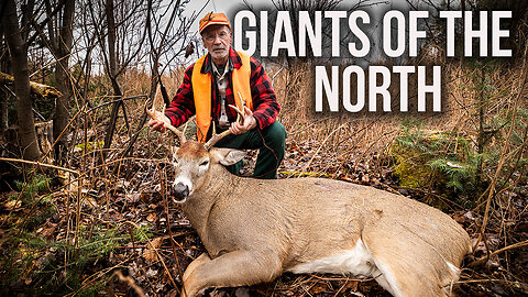 A GIANT Maine Buck! | Maine Deer Season 2024