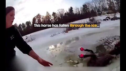 Heroic Police Officers Save Horse Trapped in Frozen Pond