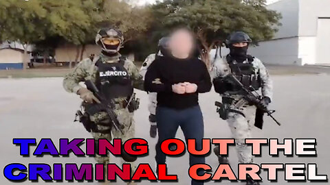 Taking Out the Criminal Cartels