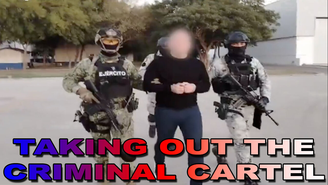 Taking Out the Criminal Cartels