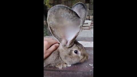 Be Careful, He Can Hear Your Thoughts