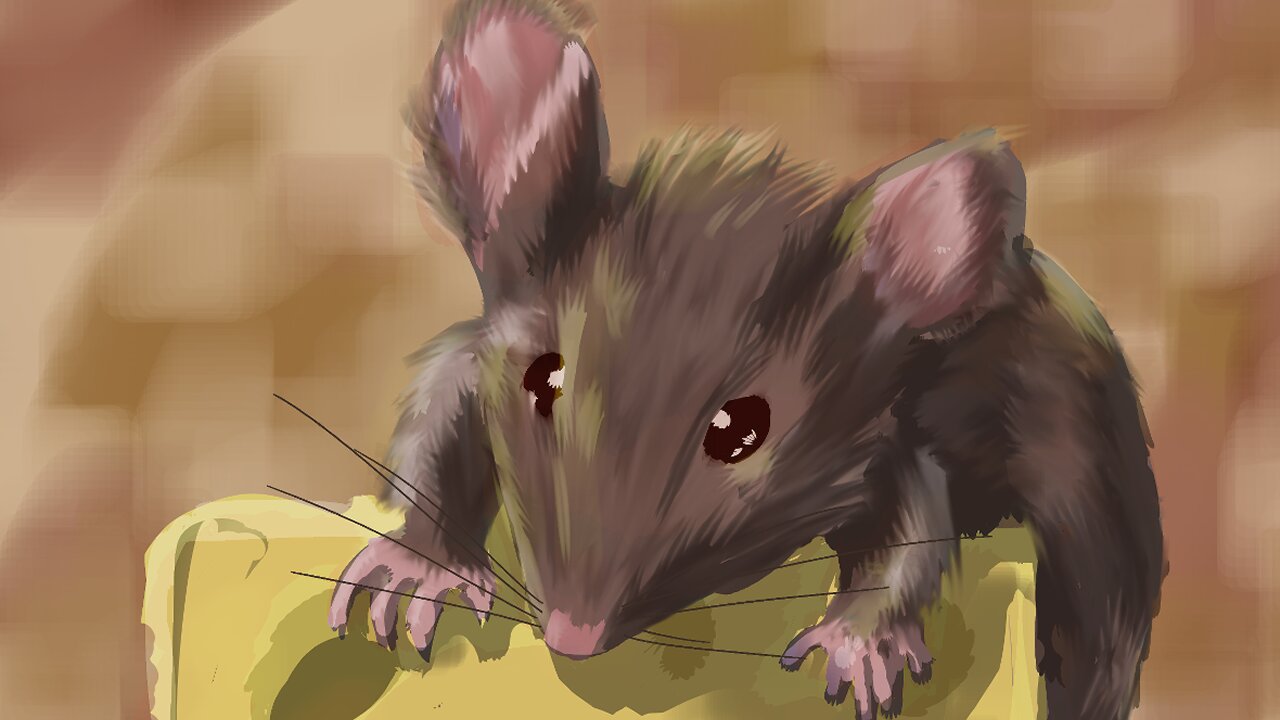 Rat Cheese illustration art speedpaint timelapse