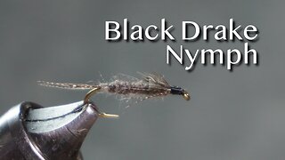 Polly Rosborough’s Black Drake Nymph fly pattern