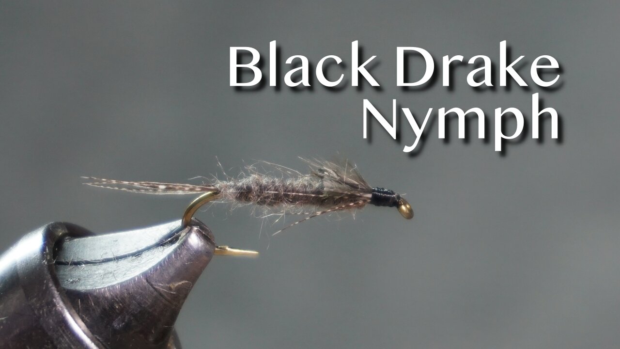 Polly Rosborough’s Black Drake Nymph fly pattern