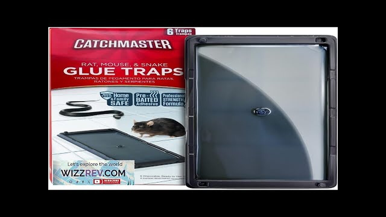 Catchmaster Rat & Mouse Glue Traps 6Pk Large Bulk Traps Indoor Review