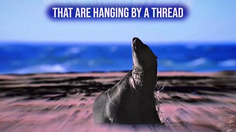 Our Oceans Are Worth Fighting For