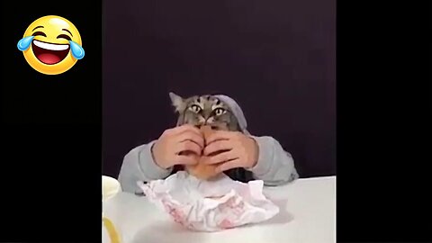 Viral TikTok's People Keep Watching In 2 Minutes!!!