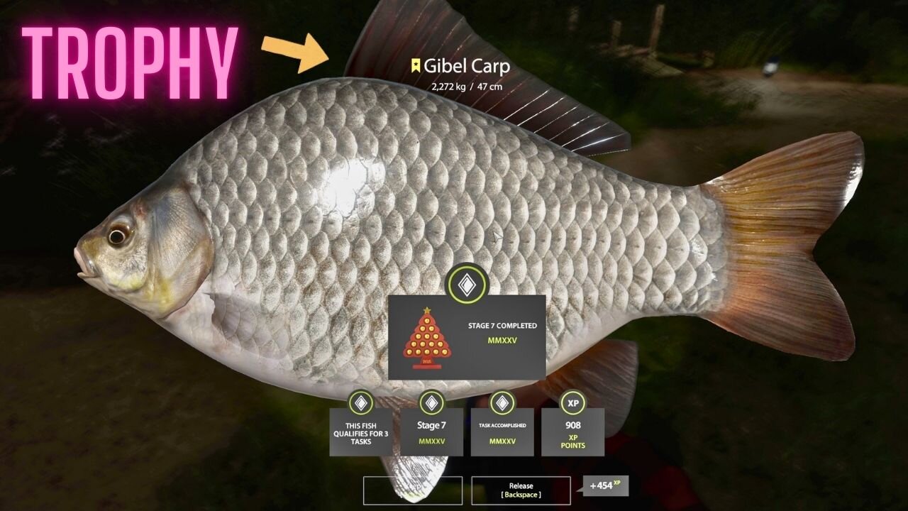 The NEW YEAR'S challenge is finally complete, TROPHY Gibel Carp, Mosquito Lake, Russian Fishing 4