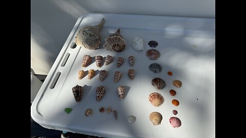 Beach Finds 11/19/2025 | 4K