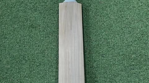 Plain Cricket Bat