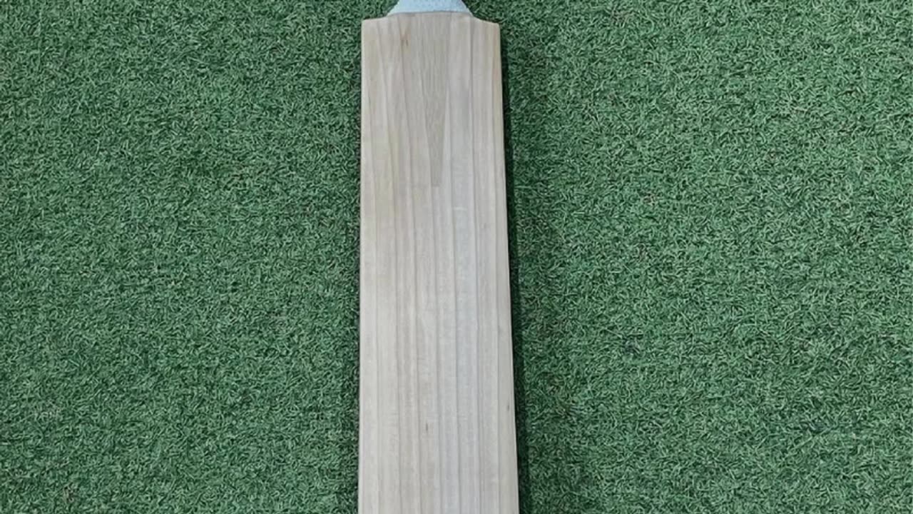 Plain Cricket Bat