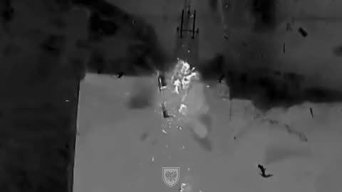 Drone Strikes Demolish Russian Landing Craft