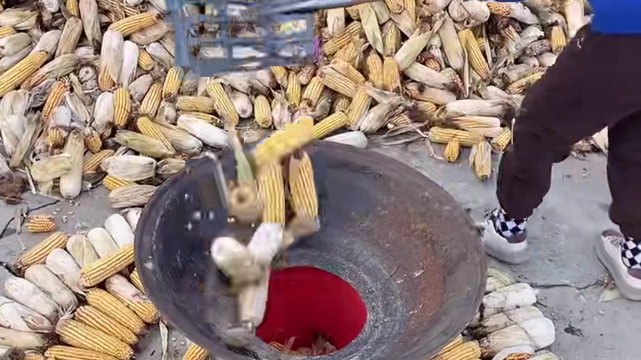 😮🔧 Watch These Tools In Action! | FeedMyCuriosity