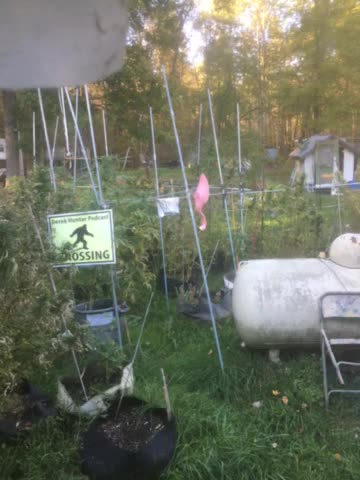 Text cent to 58619 WMAL 105.9 streaming worldwide Indicted today for mortgage fraud ny ny AG