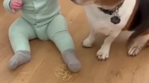 Cute Baby Playing with Animals | Adorable Baby and Pet Moments 2025