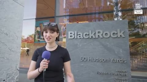 BlackRock: The Conspiracies You Don’t Know