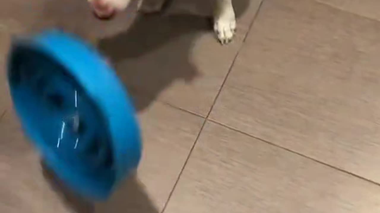Small Bite