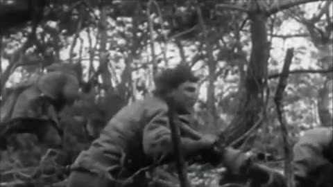 Jungle Ambush, The Nightmare OF THE VIETNAM WAR.