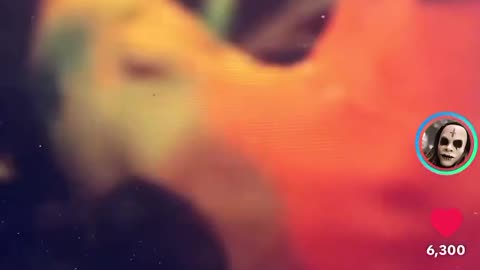 Once awake there isn’t any hiding it.. You start to see it everywhere