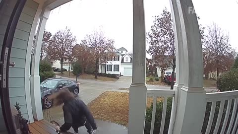 Heartwarming Moment – Animal Reunites with Owner After Years of Separation 🐾