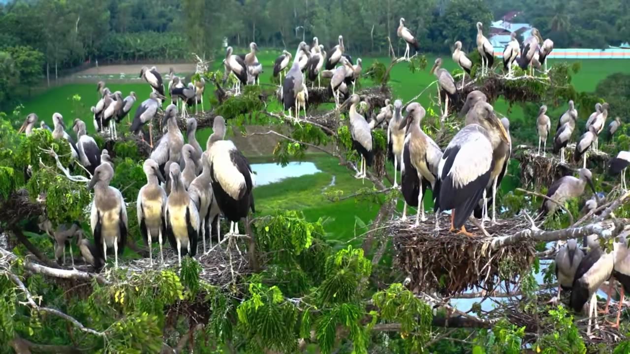 Evening Chill House Ride