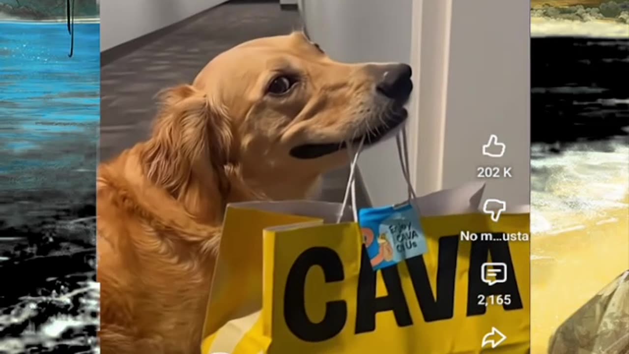 Just shorts videos - Follow 😜😋!!!!!!!