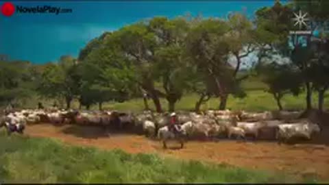 Mi Verdad Oculta Capítulo 43 parte 2