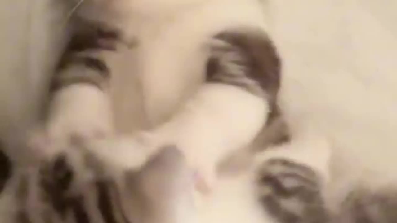 Cutepie Cat