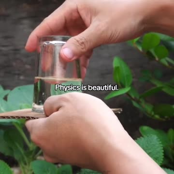 The real illusion - Magic