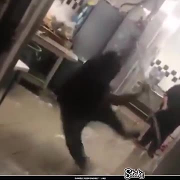 If you think you can do better, you should try our game.