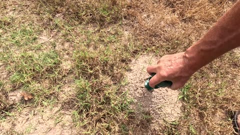 Go Solar – Mole Control Made Easy!