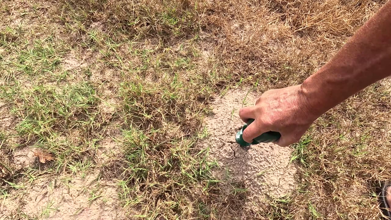 Go Solar – Mole Control Made Easy!