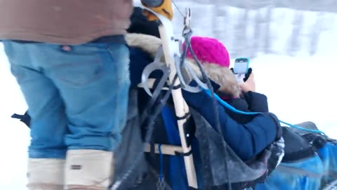 Alaskan Husky Dog Sledding in Fairbanks, Alaska in January