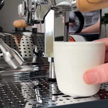 Flavor Quest on Coffee Espresso in Quick Save Expresso