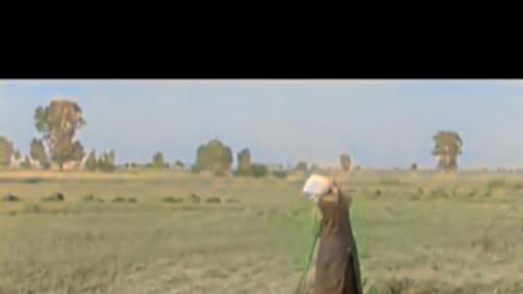 1937 Farm Life A Wave and Work in the Fields #ColourisedHistory