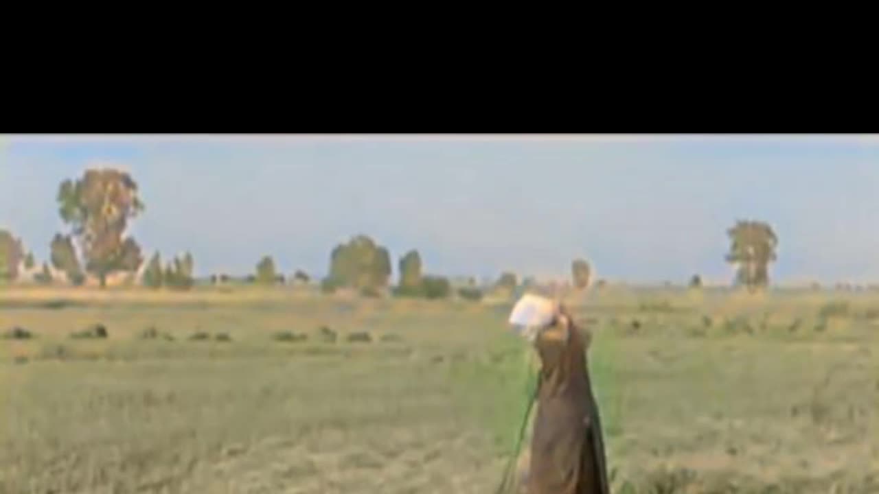 1937 Farm Life A Wave and Work in the Fields #ColourisedHistory