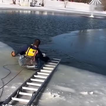 Rescuing a poor dog from a frozen lake!.hd