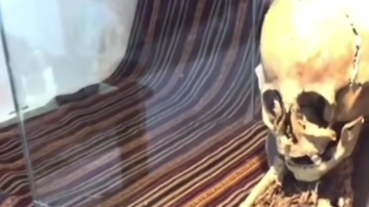 🛸👽 Alien Skeleton in a Museum? | TheTruthAbove