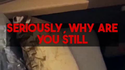 Everyone can afford Business Class and 5-Star Hotels! Learn with Mighty Travels Premium.