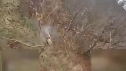 Ukraine war related/combat footage 11/24/25