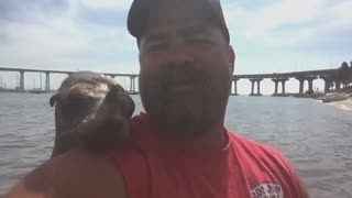 Seal Jumps On Guy's Boat And Makes A Friend (720p_30fps_H264-128kbit_AAC)