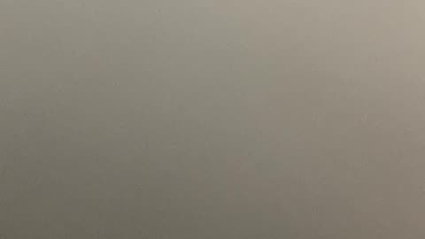 I wonder what she could want